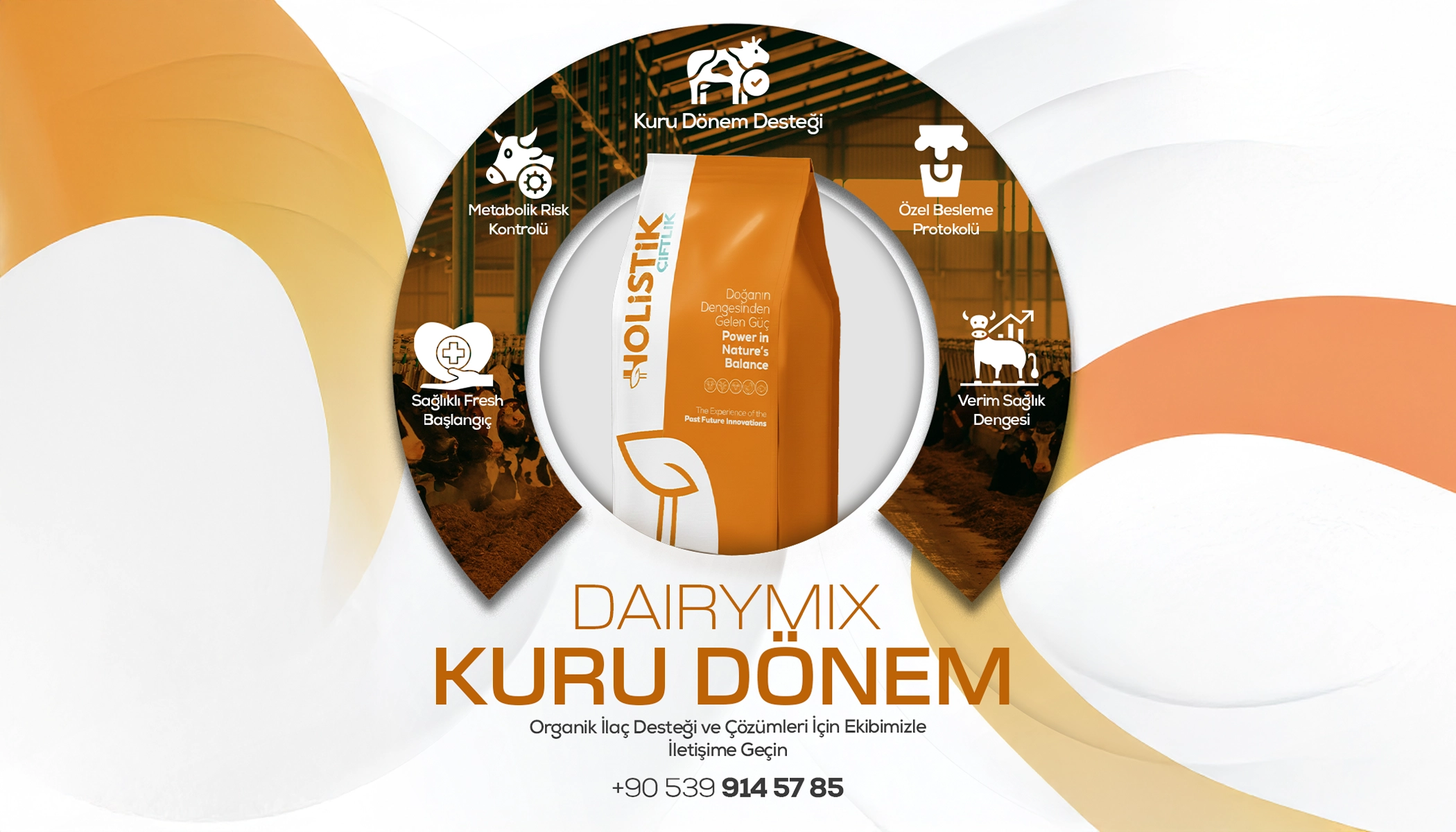 Kuru Dönem Yemi Nedir ?  Faydaları Nelerdir?