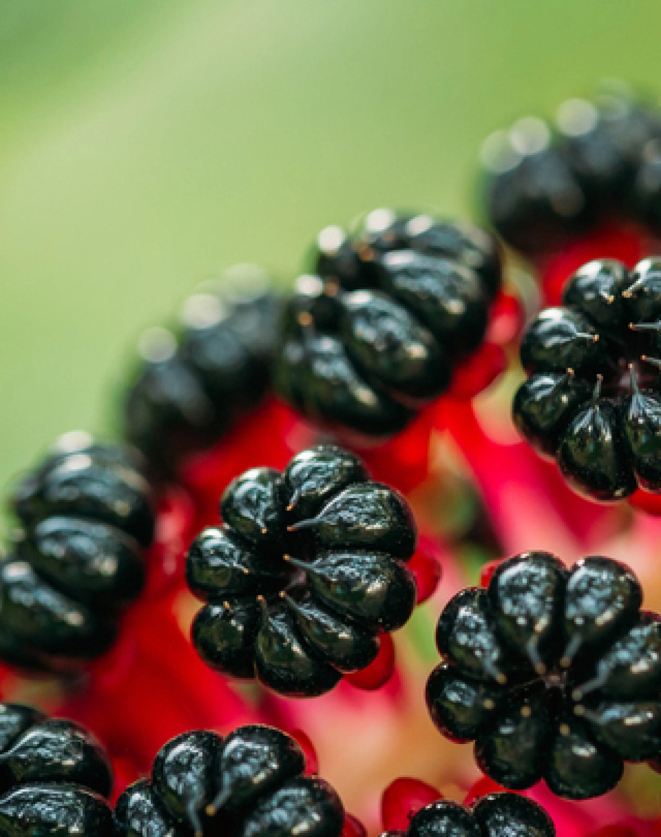 Nakliye Sonrası Koruma