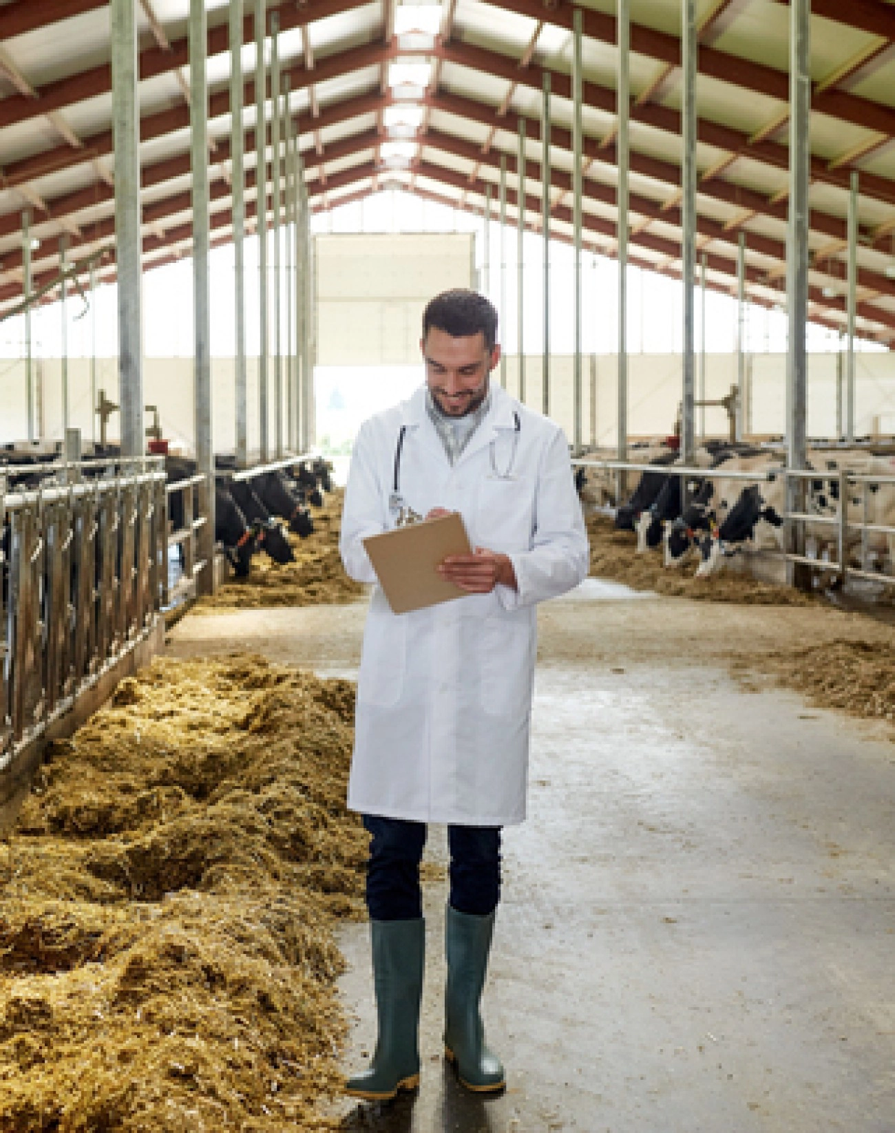 Üreme Sağlığı Desteği